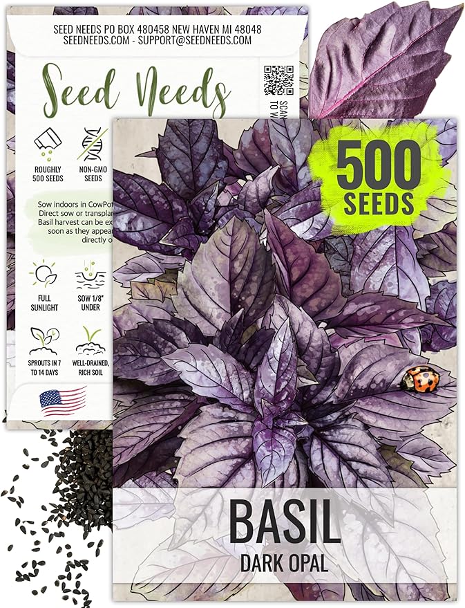 Seed Needs Opal Basil Seeds for Planting Red Basil Plants - Non-GMO Heirloom & Untreated Herb Seeds to Plant an Indoor or Outdoor Culinary Kitchen Garden (1 Pack)