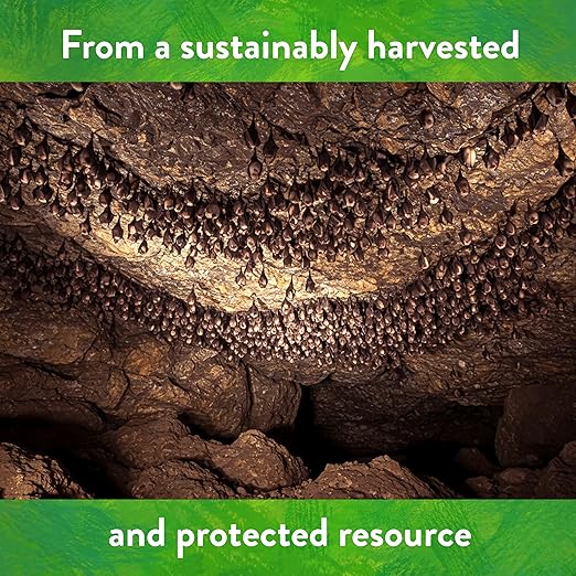 Down To Earth All Natural Fertilizers Organic Bat Guano - High Nitrogen Plant Food for Vegetative Growth 7-3-1, 10 lb