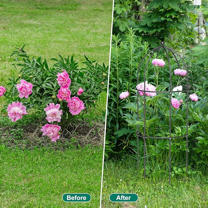DoCred 6 Pack Garden Trellis for Climbing Plants, 17.7" x 47.2" Metal Rustproof Tomato Cage, Outdoor Indoor Flowers Potted Obelisk Trellis for Cucumber Vine Peony Lily Rose Plant Support