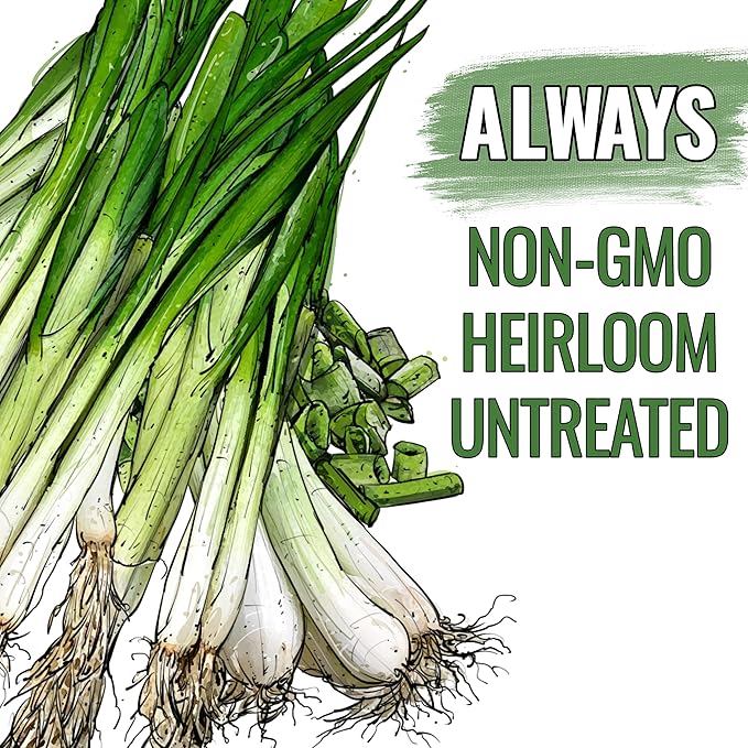 Seed Needs Onion Seeds for Planting Tokyo White Bunching Long Day Onions - Non-GMO Heirloom & Untreated Vegetable Seeds to Plant an Outdoor Home Grown Veggie Garden (2 Packs)