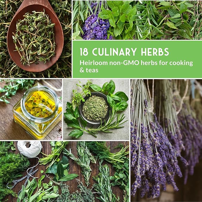 Culinary Herb Seeds Variety Pack for Planting - Grow 18 Heirloom Kitchen Herbs with Basil, Cilantro, Parsley, Dill, Chives, Oregano, Sage, Rosemary, Mint - Indoor or Outdoor - Survival Garden Seeds