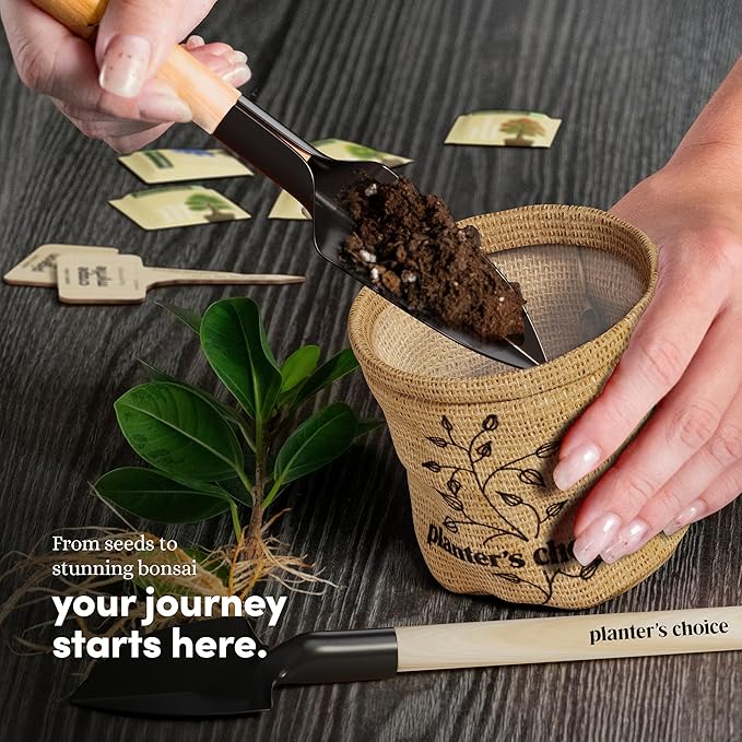 Planter's Choice Bonsai Tree Starter Kit - Unique Easter Gifts for Women, Men - Birthday Gifts for Adults - Indoor Live House Plants - DIY for Adults Craft Kits - Hobby Gift for Gardening Lovers