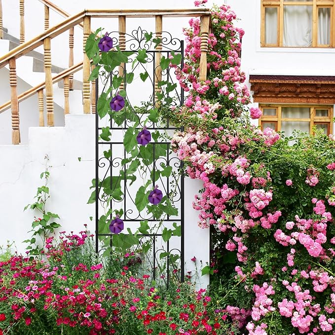 unho 2 Pack 71.6x20in Iron Arch Garden Trellis with Black Metal Coating–Perfect for Supporting Climbing Plants Outdoor, Roses, Vines, Flowers, and Vegetables