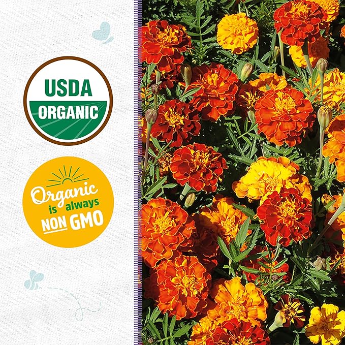 Back to The Roots 100% Organic Seed Packet - Marigold 'Sparky' 250mg