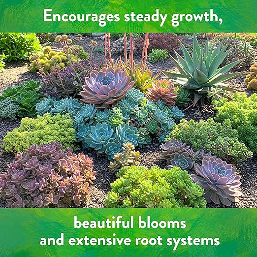 Down To Earth All Natural Fertilizers Organic Cactus & Succulent Mix - Plant Food for Cactuses, Agaves, Aloes, Jades, and Yuccas 2-4-8, 1 lb