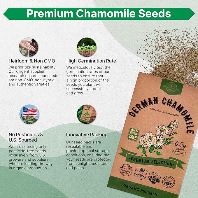 Organo Republic German Chamomile Seeds Pack 0.5 G - Over 5,900 Non-GMO Heirloom Chamomile Seeds for Planting Herbs in Individual Seed Packet, Herbs Seeds for Planting Home Indoor & Outdoor Gardening