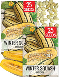 Seed Needs Winter Squash Seeds for Planting Delicata Squashes - Non-GMO Heirloom & Untreated Vegetable Seed to Plant an Outdoor Home Grown Veggie Garden