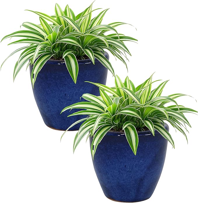 Sunnydaze Resort Round Ceramic Planter - Set of 2 Indoor or Outdoor Plant Pots with Drainage Hole - 8" - Imperial Blue Glaze