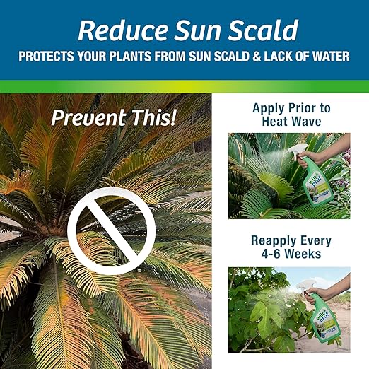 Wilt-Pruf® Drought Guard Spray | Organic Plant Protector | Shields Against Drought and Moisture Loss (32 oz)