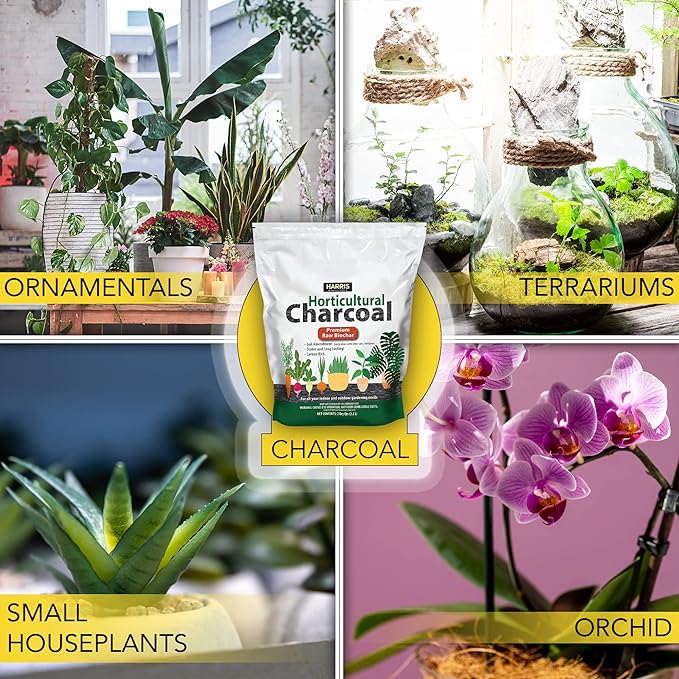 Harris Horticultural Charcoal, Premium Biochar Soil Amendment for Plants and Terrariums, 2qt