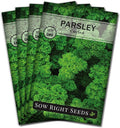 Sow Right Seeds - Curly Leaf Parsley Seed for Planting - Non-GMO Heirloom Packet with Instructions to Plant and Grow a Kitchen Herb Garden - Indoor or Outdoor - Great for Hydroponics Growing (4)