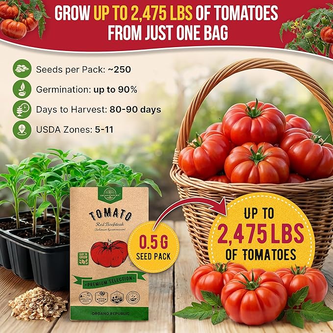 Red Beefsteak Tomato Seeds Pack 0.5 G - Over 250 Non-GMO Heirloom Tomato Seeds for Planting Vegetables in Individual Seed Packet, Vegetable Seeds for Planting Home Garden Indoor & Outdoor Gardening