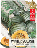 Seed Needs Winter Squash Seeds for Planting Table Queen Squashes - Non-GMO Heirloom & Untreated Vegetable Seed to Plant an Outdoor Home Grown Veggie Garden