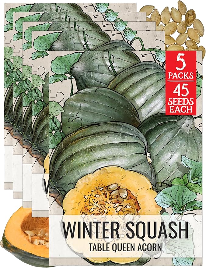 Seed Needs Winter Squash Seeds for Planting Table Queen Squashes - Non-GMO Heirloom & Untreated Vegetable Seed to Plant an Outdoor Home Grown Veggie Garden