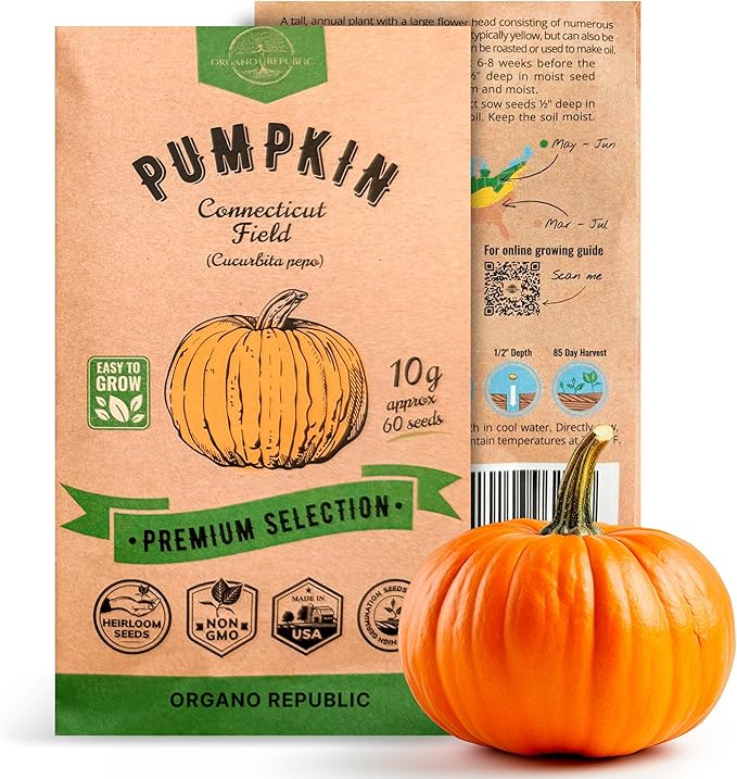 Organo Republic Pumpkin Connecticut Field Seeds Pack, 10G - Over 60 Non-GMO Heirloom Pumpkin Seeds for Planting Vegetables in Individual Seed Packet, Vegetable Seeds for Indoor & Outdoor Gardening