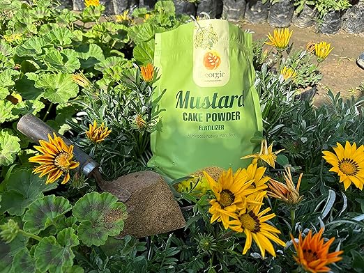 Natural Mustard Oil Cake Powder As Fertilizer for All-Purpose Fertilizer Concentrate for Flower, Vegetable, Herb, Fruit Tree (Pack of 2-6 LB)
