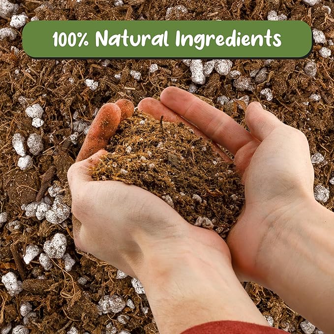 Soil Sunrise Carnivorous Plant Potting Soil Mix (8 Quarts) Ideal Additive for Venus Fly Traps, Sundews, and Pitcher Plants