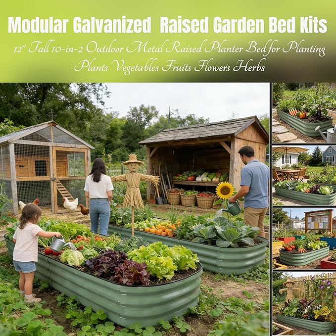 2 Pack 12" Tall 10-in-2 Hevay-Duty Modular Galvanized Raised Garden Bed Kits-8ftX2ft Raised Flower Beds, Metal Raised Beds for Planting Plants Vegetables Fruits Flowers Herbs-Ground Planter Box