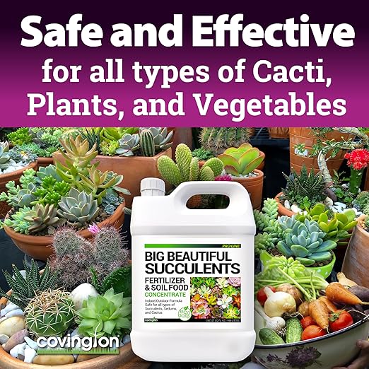 Covington Succulent Fertilizer Liquid (32oz) – Cactus & Succulent Plant Food for Indoor and Outdoor Use – Slow Release Liquid Fertilizer for Houseplants – Made in USA