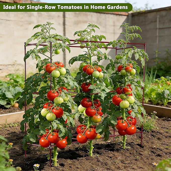 Tomato Cages – 47" H x 58" L x 14" W Row Tomato Trellis, 3-Tier Heavy-Duty Steel Support System for Indeterminate Tomatoes, Supports Up to 6 Plants Per Set