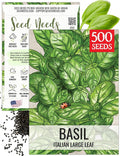 Seed Needs Basil Seeds for Planting Italian Large Leaf Herbs - Non-GMO Heirloom & Untreated - Grow an Indoor or Outdoor Home Grown Herb Garden (1 Pack)
