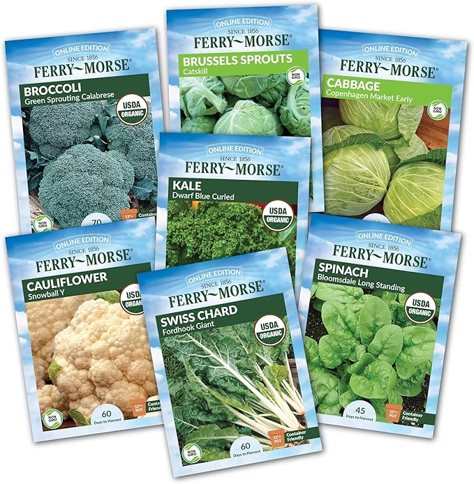 Jiffy Plant Germination Kit - Greenhouse Starter Kit, Lightweight, GMO Free - 72 Cell, 2 Pack - Peat/Plastic