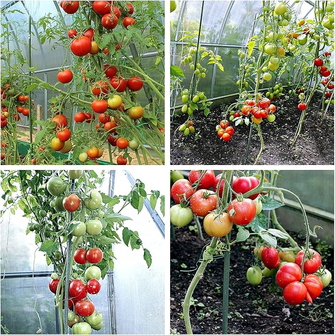 Sturdy Metal Garden Stakes 5 Ft Plastic Coated Steel Plant Sticks for Tomatoes,Trees,Cucumber,Fences,Beans,Pack of 25