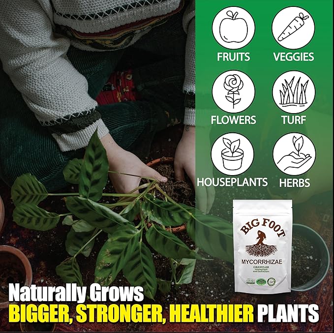 Big Foot Mycorrhizae - Double Your Plant Size, Easy to Use, Made in USA, Treats 30 Plants (7,500 Mycorrhizal Spores) Fertilizer, 4 Ounce Package
