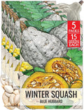 Seed Needs Blue Hubbard Winter Squash Seeds for Planting - Non-GMO, Heirloom & Untreated - Golden Yellow Sweet Flesh Perfect for Baking & Cooking (5 Packs)