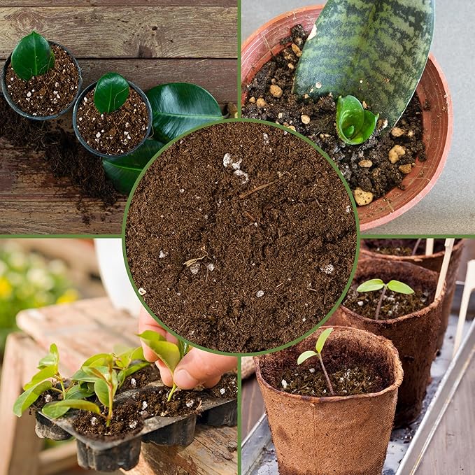Soil Sunrise Plant Propagation Potting Mix (4 Quarts) Ideal Starter Mix for Rooting Plant Cuttings