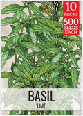 Seed Needs Lime Basil Seeds for Planting - Non-GMO Heirloom & Untreated Culinary Herb Seed to Plant an Indoor or Outdoor Home Grown Kitchen Garden (10 Packs)