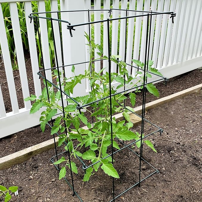 Ferry Morse Plant Cage - Folding Tomato Trellis Cage, Heavy Duty Support, 2 Pack - Steel, 16x16x39.5 in