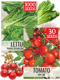 Seed Needs Vegetable Seeds for Planting Parris Island COS Romaine Lettuce & Tiny Tim Tomatoes - Non-GMO Heirloom & Untreated Veggie Seed to Plant an Outdoor Vegetable Garden (2 Packs)