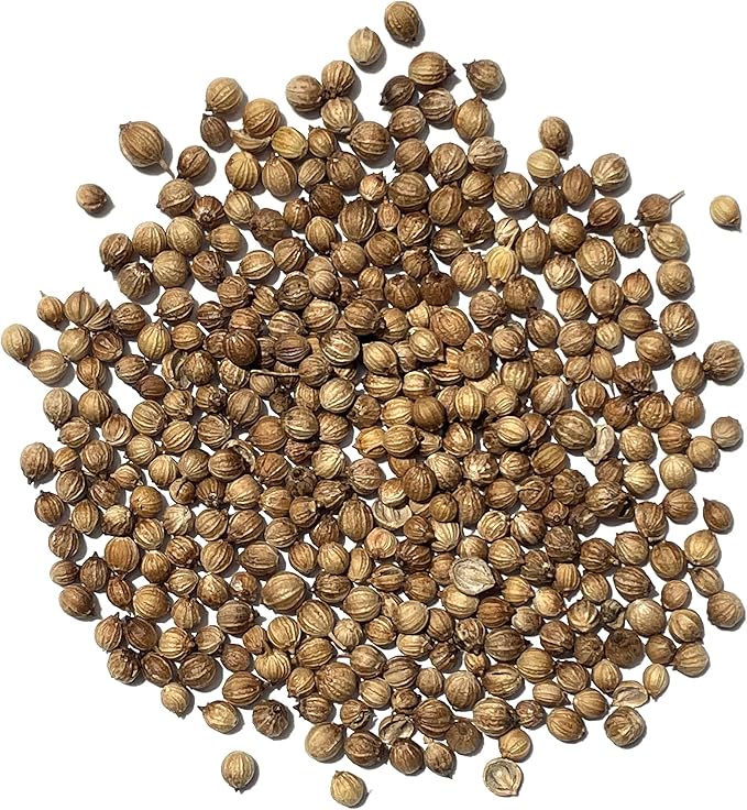 The Old Farmer's Almanac Heirloom Organic Cilantro Seeds (Slow Bolt) - Approx 200 Seeds - Certified Organic, Non-GMO, Open Pollinated, Heirloom, USA Origin