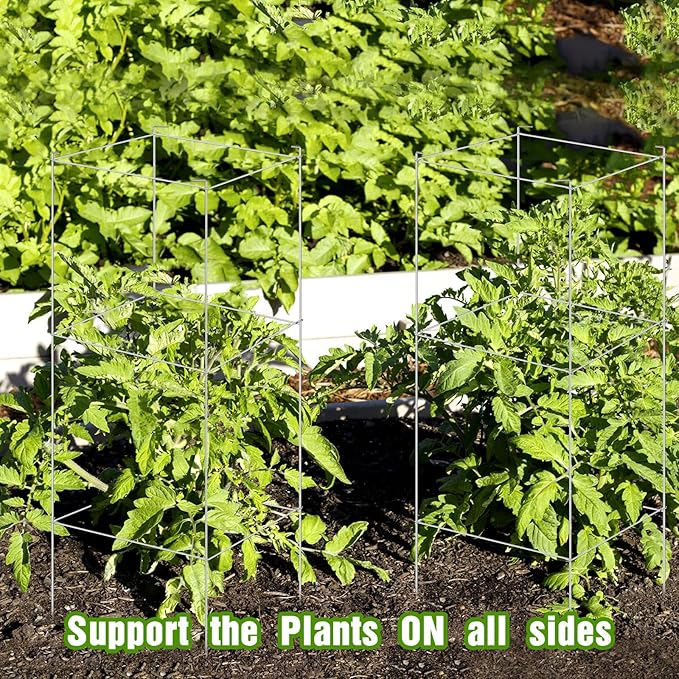 Hicarer 16 Pack Square Tomato Cage Heavy Duty Tomato Cages for Garden Vegetable Plant Trellis Stakes Plant Support Stake Tower for Climbing Vegetables Plants Flowers Fruit (15 x 36 Inches,Silver)