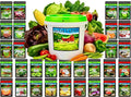 Beginner Survival Seed Vault: 20,000+ Heirloom & Non-GMO Seeds (30 Easy to Grow Varieties) by B&KM Farms