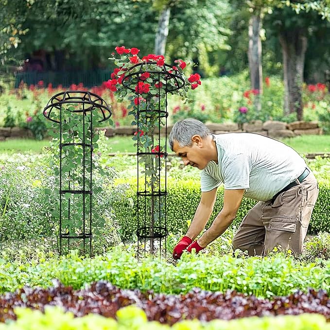 4-Ring Mushroom Top Trellis for Climbing Plants, 65 Inch Tall Adjustable Plant Support for Outdoor Indoor Garden, Sturdy Metal Core with Plastic Coating, Black