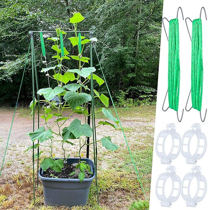 30Pcs Tomato Hooks with String, Tomato Support Hooks, Tomato Holder Hooks & Plant Support Clips with 33.3ft Twine to Prevent Tomatoes from Pinching or Falling Off