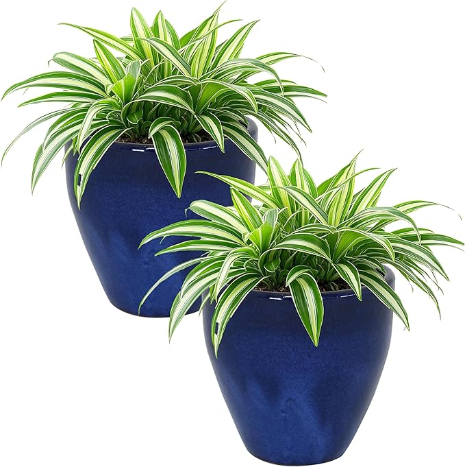 Sunnydaze Round Resort Ceramic Planter - Set of 2 Indoor or Outdoor Plant Pots with Drainage Hole - 10" - Imperial Blue Glaze