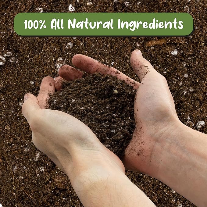 Soil Sunrise Tropical House Plant Potting Mix (12 Quarts); for All Types of Indoor House Plants