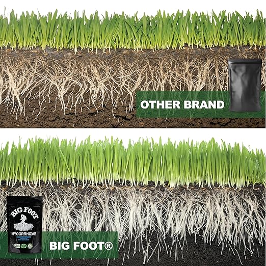 Big Foot Mycorrhizae Concentrate (10 lb)