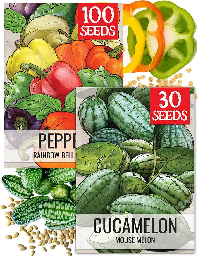Seed Needs Vegetable Seeds for Planting Rainbow Bell Peppers & Cucamelon - Non-GMO Heirloom & Untreated Veggie Seed to Plant an Outdoor Home Grown Vegetable Garden (2 Packs)