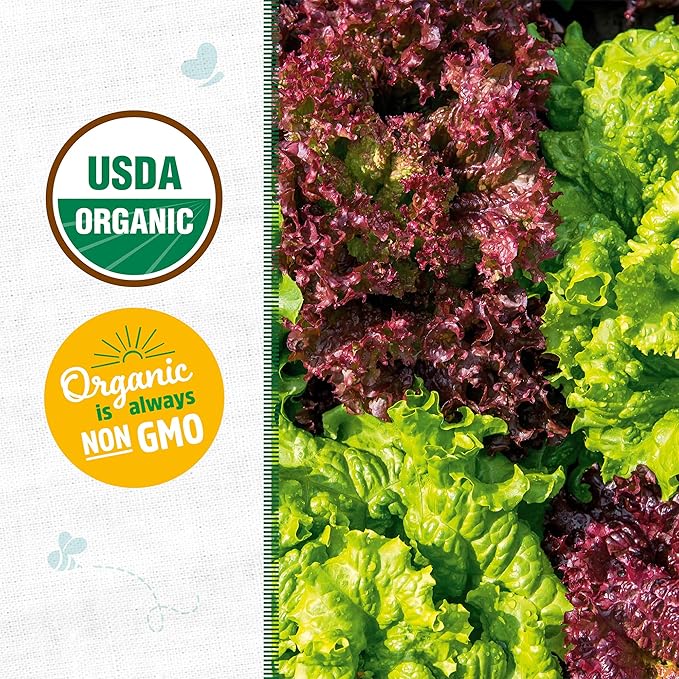 Back to The Roots 100% Organic Heirloom Seeds - Lettuce Value Pack (840mg Total)
