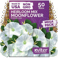 KVITER 50 Moonflower Seeds For Planting (Ipomoea alba) – White Morning Glory Seed Packets, Moon Flowers – Heirloom Vine White Flower Seeds Climbing Plants For Containers Indoor & Outdoor Flower Garden