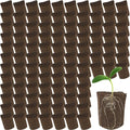 Amyhill Hydroponic Sponges Grow Starter Pods Organic Growth Sponge Starter Plugs for Plant Cloning Growing (200 Pieces)