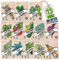 Vegetable Seeds for Planting: 13 Heirloom Veggie Seeds for Planting Home Garden: Tomatoes Lettuce Beets Bell Pepper Zucchini Broccoli Beans Cabbage Cauliflower Onion Cucumber by Sustainable Sprout