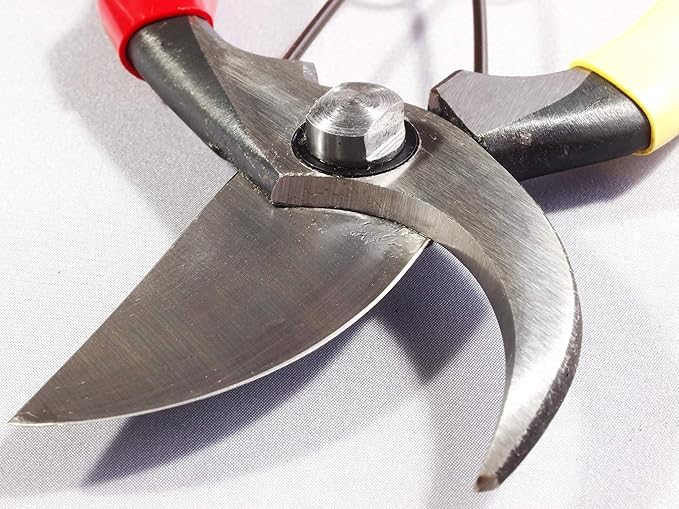 Pruning Shears SR-1 200mm Bonsai
