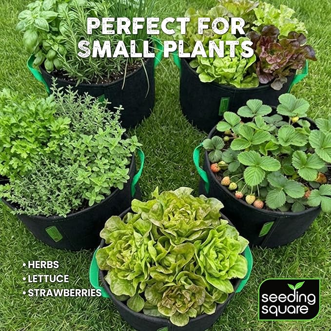 Seeding Square Fabric Grow Bags (5 Gallon) – Durable, Reusable Air-Pruning Plant Pots for Vegetables, Fruits & Herbs – Eco-Friendly Breathable Planter Bags for Healthy Roots & Bigger Harvests