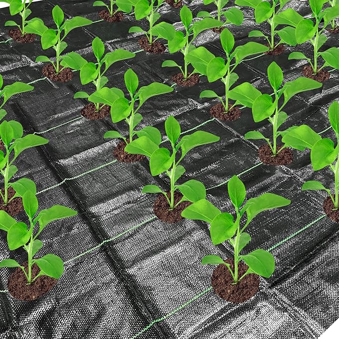 codree 13 x 6.5 Ft Garden Weed Barrier Landscape Fabric with Planting Holes- Heavy-Duty Garden Weed Control Barrier- Weed Block Gardening Mat with 6 Ground Nail for Outdoor Garden