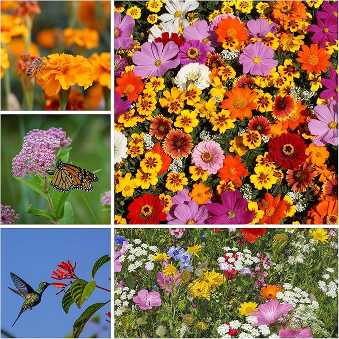 Pollinator Wildflower Seed Shaker Collection - ~300,000+ Wild Flower Seeds for Planting - Includes Hummingbird & Butterfly, Save The Monarchs, and Save The Bees Wildflower Mixes - Covers ~1,000 sq ft